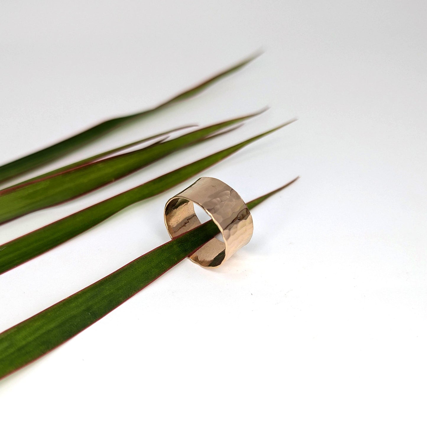 Simple Wide Band Ring