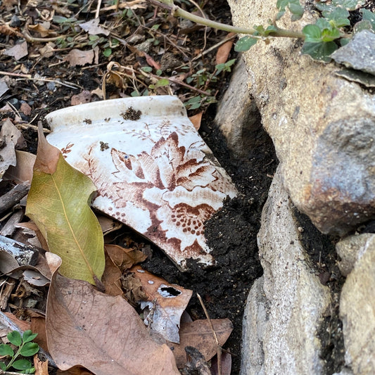 Chaney : The Unknown Treasure of St. Croix