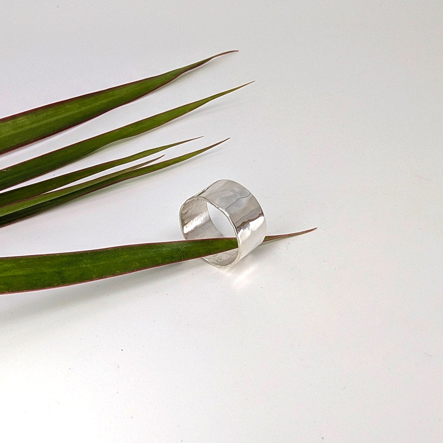 Simple Wide Band Ring