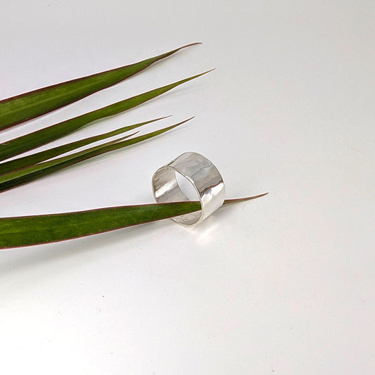 Simple Wide Band Ring